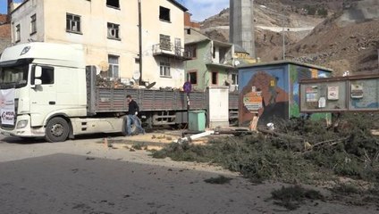 Sular altında kalacak ilçenin ağaçları, depremzedeleri ısıtacak