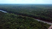 La Amazonía, la joya verde del planeta, vive cada minuto en riesgo de deforestación