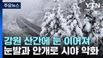 [날씨] 영동, 내일까지 최고 20cm 폭설...한숨 돌린 산불 / YTN