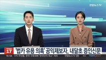 '법카 유용 의혹' 공익제보자, 내달초 증인신문
