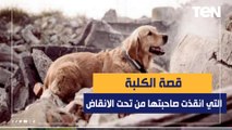 الكلبة التي انقذن حياة صاحبتها.. أرشدت رجال الإنقاذ عن مكانها تحت الأنقاض بعد زلزال تركيا