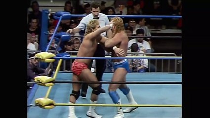 Flyin' Brian (c) Vs. Brad Armstrong (WCW Light Heavyweight Championship)