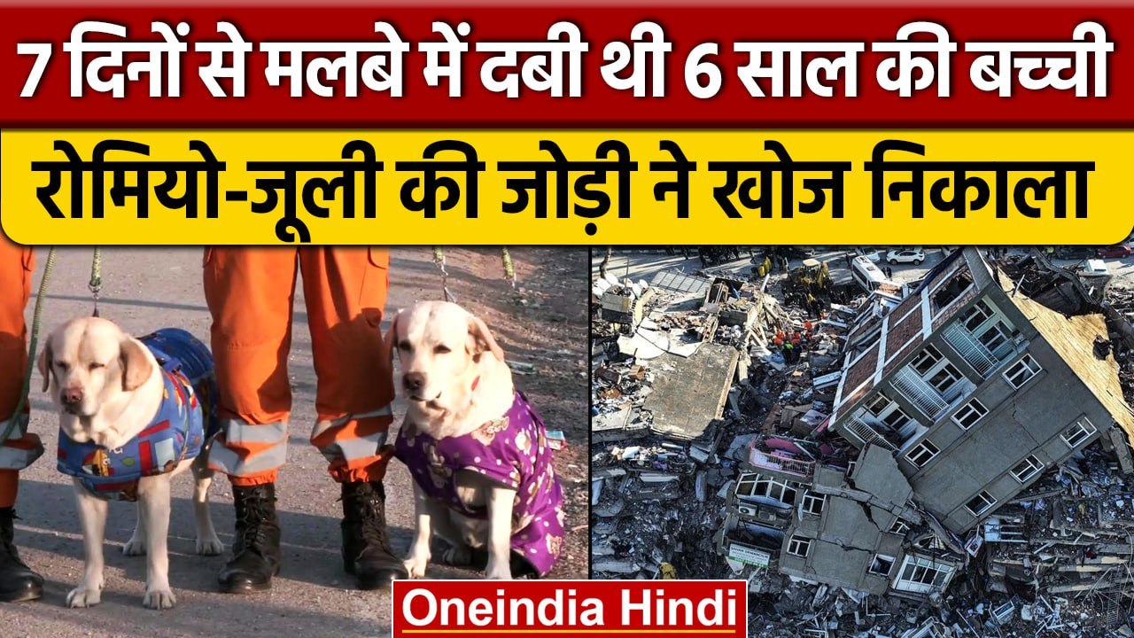 Turkey Earthquake में 7 दिन से दबी थी बच्ची,  Julie-Romeo ने सांसे सुन खोज लिया | वनइंडिया हिंदी
