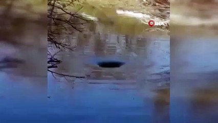 Deprem fırtınası, obruklar yarattı! Korkutan manzara