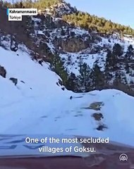 Dog helps lost aid team reach victims