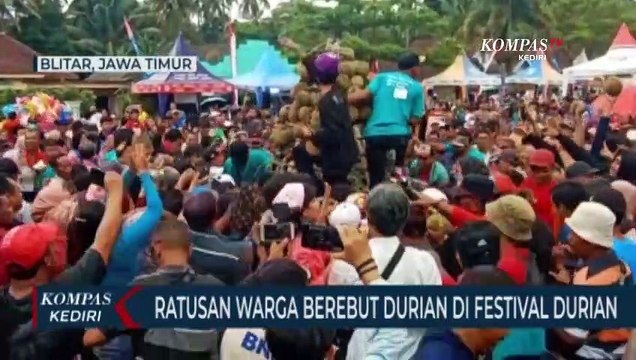 Ratusan Warga Berebut Durian di Festival Durian Sumbersari Blitar