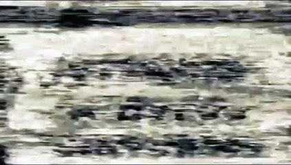 Disperina - de Laboratorios Dispert - Publicidad uruguaya (1996-1999)
