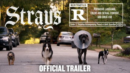 Strays   Official Trailer [HD]