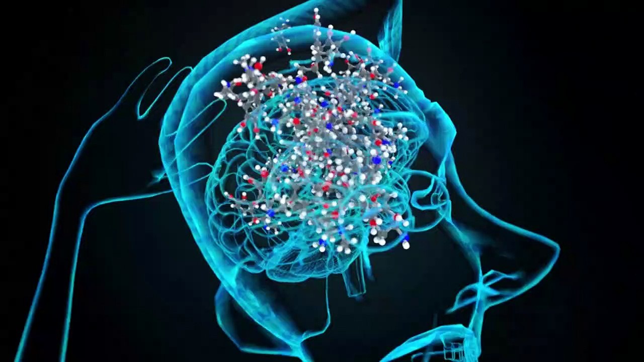 The science behind falling in love