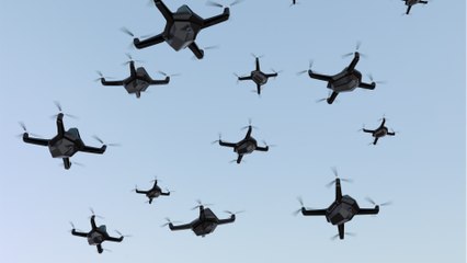 Das AMASS-Projekt von DARPA