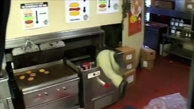 Tromatized: Meet Lloyd Kaufman | movie | 2009 | Official Trailer