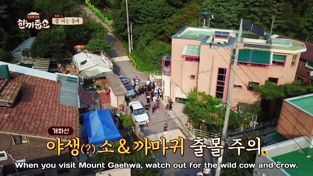 Let's Eat Dinner Together - Ep95 HD Watch