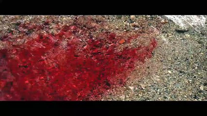 Robin Hood - Der Rebell | movie | 2018 | Official Trailer