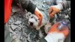 Terremoto in Turchia, le immagini dei cani salvati dopo diversi giorni dalle macerie