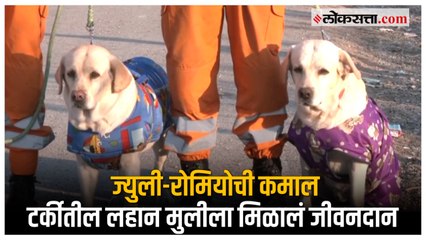 Turkey earthquake:  ज्युली-रोमियोमुळे ढिगाऱ्याखाली अडकलेल्या ६ वर्षीय मुलीला वाचवण्यात यश