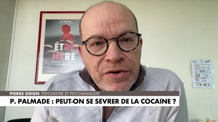 Pierre Sidon, psychiatre, sur Pierre Palmade : « Ce n’est pas quelqu’un qui n’a pas fait d’effort (…) On a toujours une satisfaction mauvaise à voir des gens qu’on a admirés devenir des victimes de leur destin »