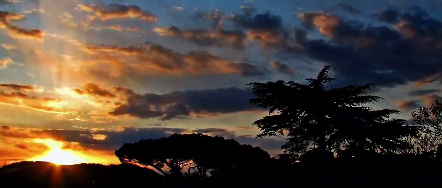 Gnadenlose Rache | movie | 2014 | Official Trailer