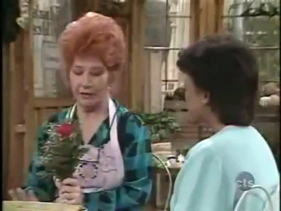 The Facts of Life - Se6 - Ep11 HD Watch