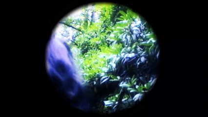 The Forgotten Colours of Dreams | movie | 2018 | Official Trailer