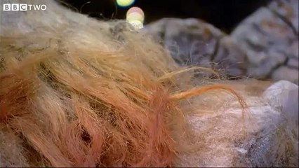 Woolly Mammoth: Secrets From The Ice | movie | 2012 | Official Trailer