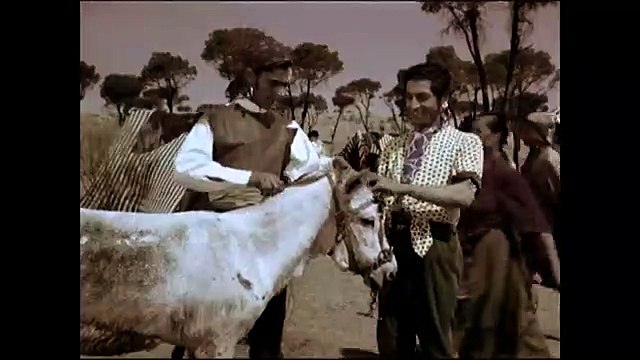 Morena clara | movie | 1954 | Official Clip