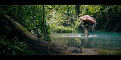 Bruno Manser - Die Stimme des Regenwaldes | movie | 2020 | Official Clip