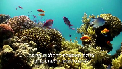 14 דקות מכדור הארץ | movie | 2016 | Official Clip