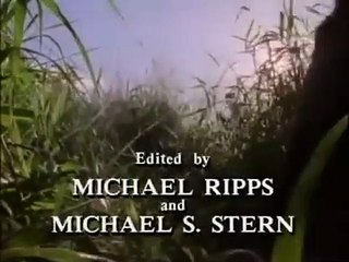 Tour of Duty - Se2 - Ep16 - The Volunteer HD Watch