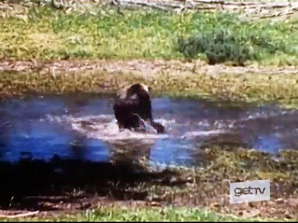 Grizzly Adams | show | 1977 | Official Trailer