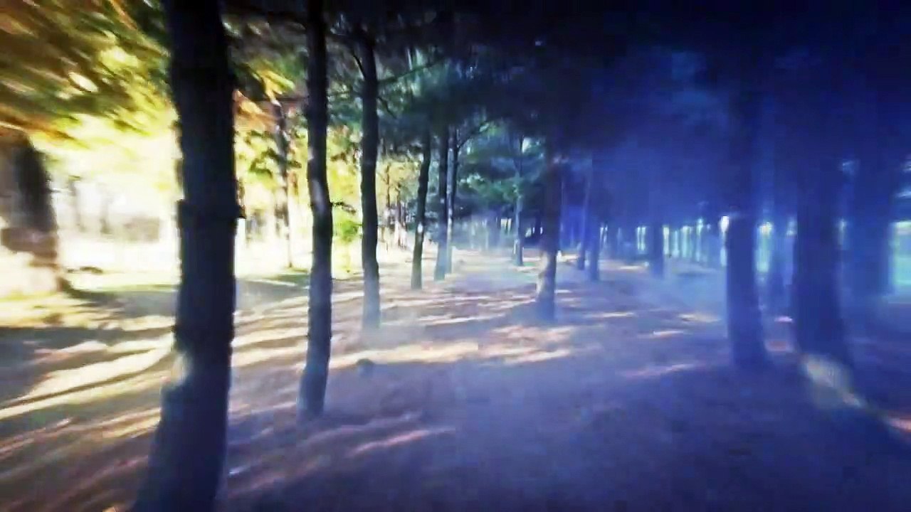 Remember | show | 2015 | Official Teaser