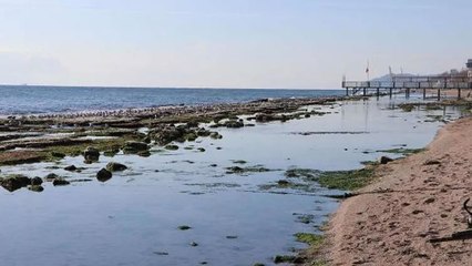 Tekirdağ'da deniz 25 metre çekildi