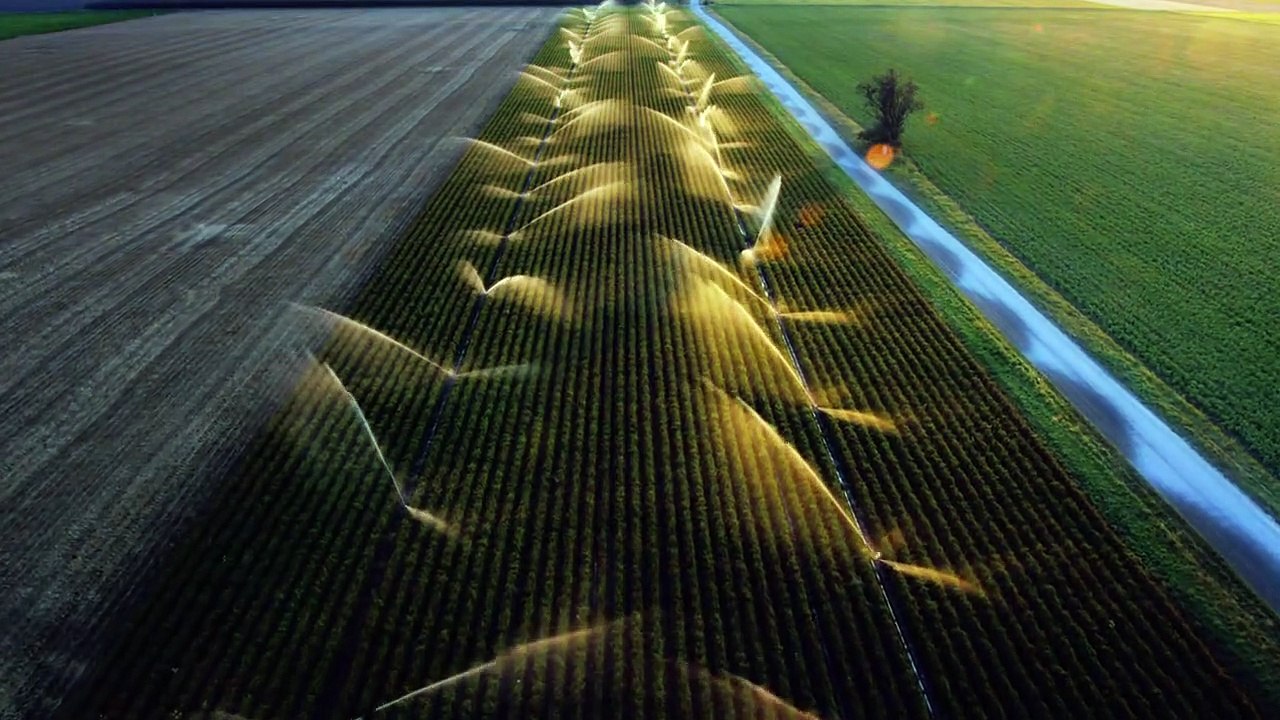 Die zweite Erkundung | show | 2017| S2 | Official Trailer