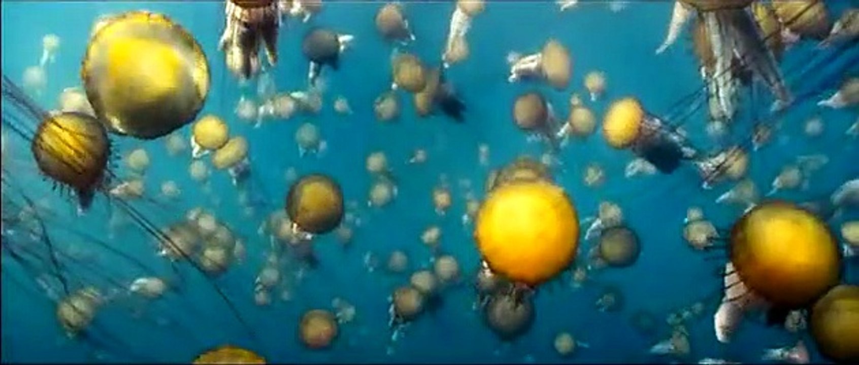 Season 1 | show | 2012| S1 | Official Trailer