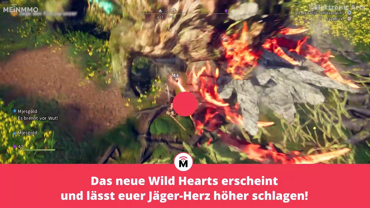 Wild Hearts: Alles zum neuen Jagdspiel in 3 Minuten