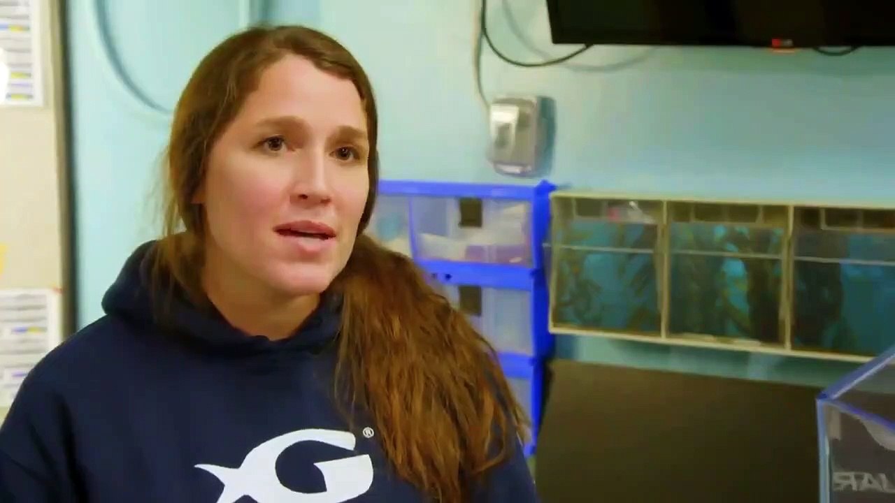 The Aquarium - Se2 - Ep08 - Ghost Gators HD Watch