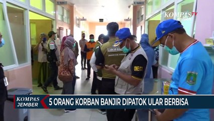 5 Orang Korban Banjir Pasuruan Dipatok Ular Berbisa