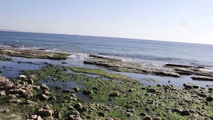 Kandilli Rasathanesi'nden Tekirdağ'da denizin 25 metre çekilmesiyle ilgili açıklama: Tektonik - deprem kaynaklı değil, meteorolojik bir olay
