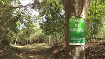 Camino de Cruces y Real, los precendetes para la creación del Canal de Panamá