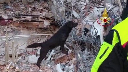 Sisma Turchia, proseguono operazioni del nuovo contingente italiano