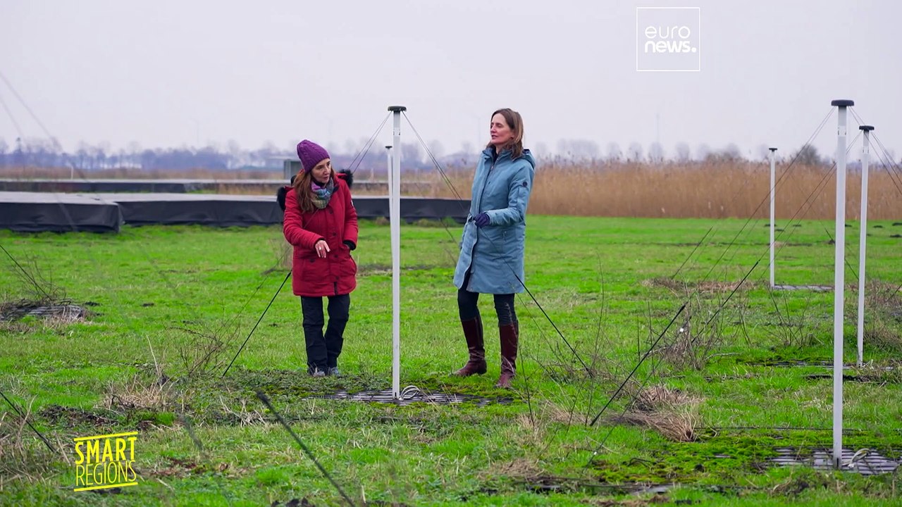 So funktioniert das größte paneuropäische Radiofrequenzteleskop