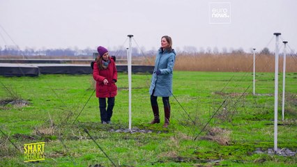 Radiotelescópio europeu LOFAR aprofunda segredos do universo