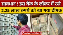 Bank Locker : Rajasthan में बैंक लॉकर में रखे लाखों रुपये खा गए दीमक, जांच के आदेश | वनइंडिया हिंदी