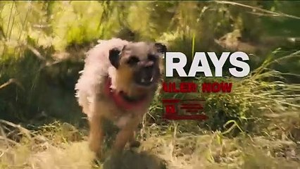 Strays Fragman