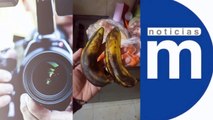 Alcaldía de Medellín entrega comida podrida a los niños de la ciudad