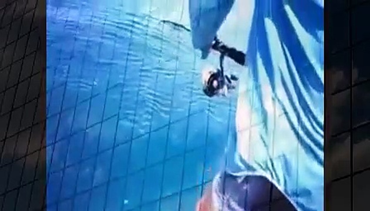 Shark Eats Fish while fishing Very Funny when animals attack