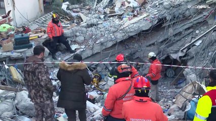 فيديو: الكلاب المدربة تلعب دوراً كبيراً في إنقاذ الناجين من الزلزال