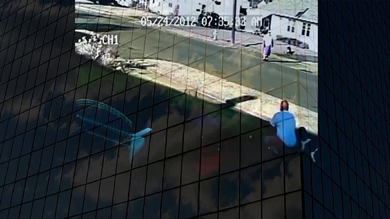 Pitbull attacks walking dogs Authorities take no action when animals attack (2)