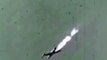 Un F-104 Starfighter disparando un AIM-9 Sidewinder