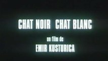 Chat Noir Chat Blanc (VO-ST-FRENCH) Streaming XviD AC3