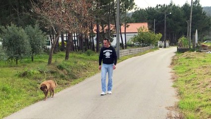 Bobi, de 30 años, el perro más longevo del mundo